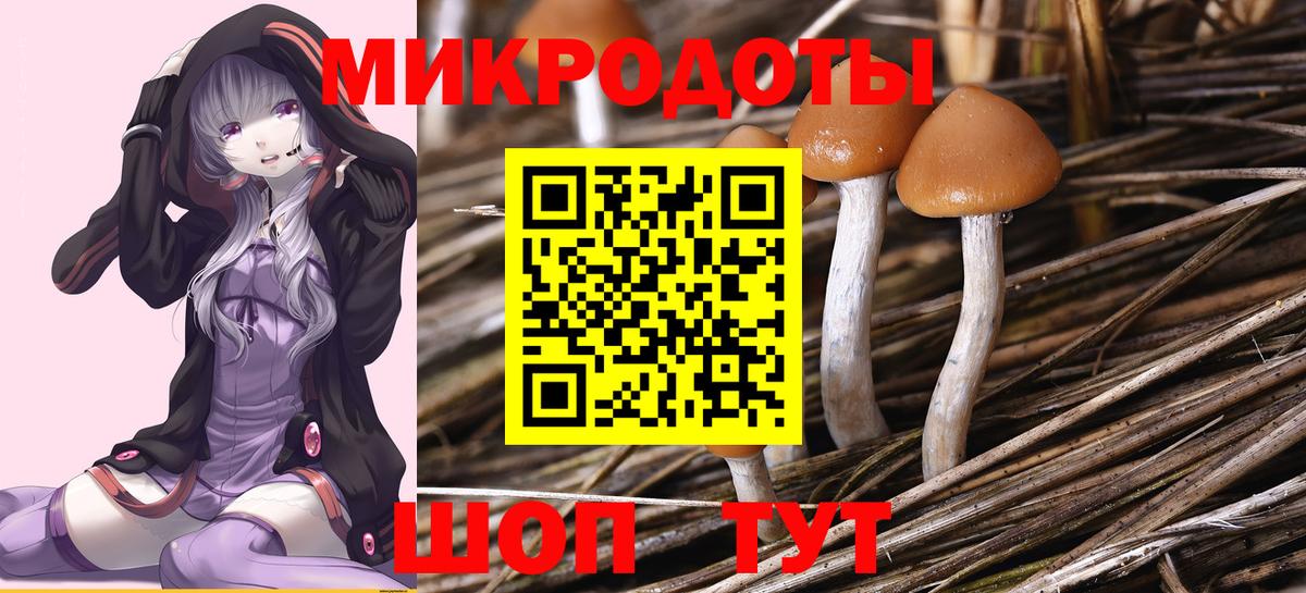 Реж  Псилоцибиновые грибы Psilocybe  Вход с VPN 