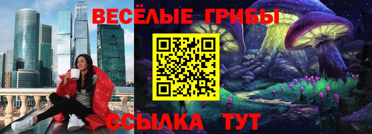 Галлюциногенные грибы Psilocybe Реж